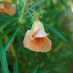 2015-09-09 07-50-16 Hotel